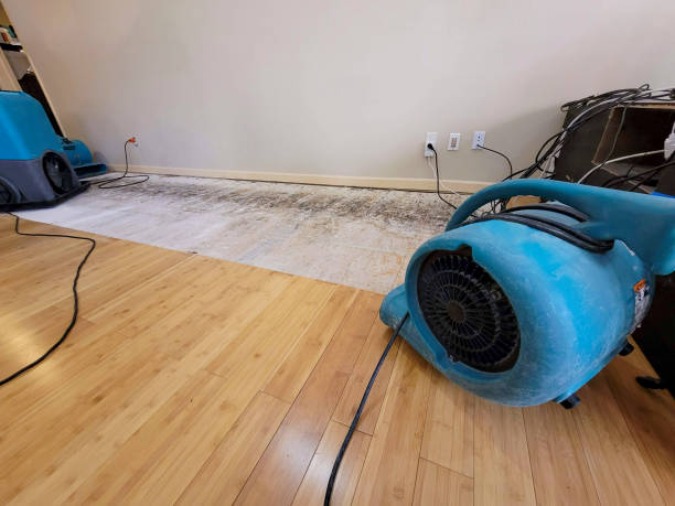 Reliable Basement Flood Cleanup contractor in Rossville, KS by Hirex Water Damage