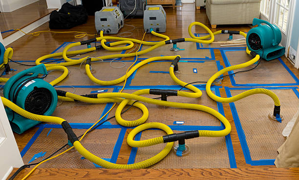 Professional Basement Flood Cleanup technician working in Rossville, KS